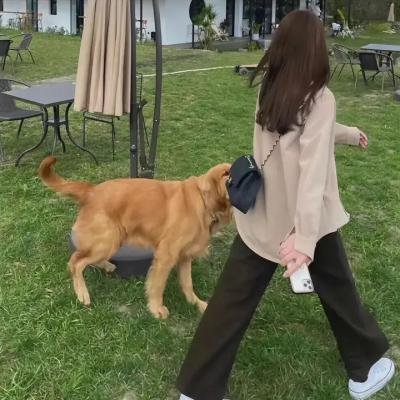 百视达纪事第一季